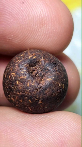 เม็ดยาจินดามณี หรือยาวาสนา หลวงปู่เพิ่ม วัดกลางบางแก้ว สร้างจากสูตรการรวบรวมว่านยาต่างๆตามตำรับ ขนาดเส้นผ่านศูนย์กลางประมาณ 1.1 ซ.ม. ตอกโค้ดตัวเฑาะว์  มีกลิ่นยาอ่อนๆ เนื้อหาดูง่าย ชัดเจน - Lazada