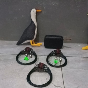 SATU SET RUAK RUAK KAREO BONUS MP3 & LONCENG