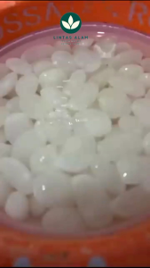 Promo Kolang kaling mentah 1kg kolang kaling fresh/caruluk/cangkaleng tanpa pengawet