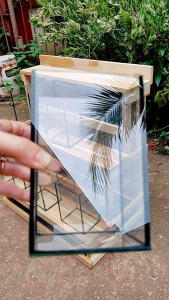 ชั้นวางโหลปลากัด ราคาประหยัด