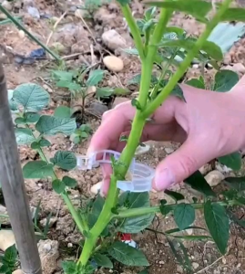 4 PCS KLIP PLASTIK PENGIKAT/PENJEPIT HOLDER TANAMAN/TANAMAN MERAMBAT