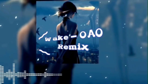 USB MUSIC 2025 全新升级抖音神曲 APT DJ热搜新歌曲DJ舞曲CAR MUSIC车载音乐U盘热门网络流行歌中文DJ无损MP3