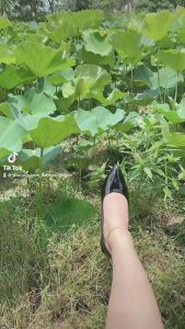 Giày cao gót 3p da bóng