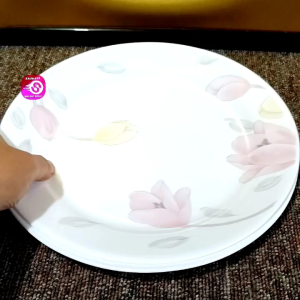 10.3in CORELLE USA ELEGANT CITY MICROWAVABLE DINNER PLATE • Japan Surplus • SOLD PER PC