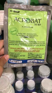 Acrobat 50WP 40 Gram Dimetomorf Per Sschet Fungisida Mengendalikan Busuk Daun Lanas Bulai