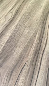 Baby Food by Rush Baby Noodles and Baby Seasonings Combo Pack Serbuk Protein dan sayur