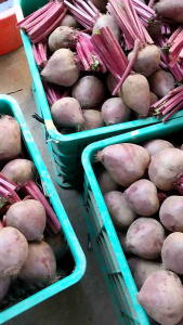 Buah Bit Segar 1kg: Manfaat & Cara Mengonsumsi