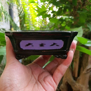 กระถางต้นไม้ กระถางบอนไซต กระถาง เคลือบเงากันน้ำ