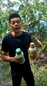 💯 Ready Stock ❤️ Baja Thailand 5T Package Get T PLUS 1 & T PLUS 2 & T.SOIL & NPK2066 & NPK6620