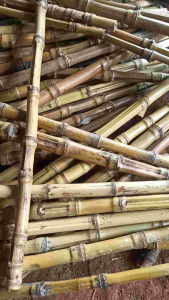 Gagang/Pegangan Joran Bambu Cendani Asli 50cm