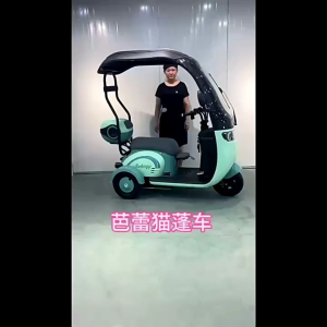 XE ĐIỆN BA BÁNH CÓ MÁI CHE CHO NGƯỜI GIÀ Xe Điện Sử Dụng Cho Người Cao Tuổi Xe Điện Bảo Hành 3 Năm - Lazada