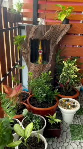 (Pre oder) โพรงม่านน้ำ ลายตอไม้ พญานาค พญานาคราช พญานาคพ่นน้ำ พญานาค 9 เศียร พญานาค 7 เศียร พญานาคสีดำ พญานาคสีทอง พญานาคสีขา พญานาคปลุกเสก พญานาคเกี้ยว อ่างพญานาค อ่างพญานาคพ่นน้ำ ของแต่งสวน