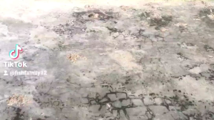 อ่างล้างจานเด็กหอ ซิ้งค์ล้างจาน ราคาถูก กะละมังล้างจาน ซิ้งล้างจาน อ่างล้างจาน