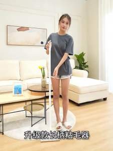 [SG STOCK] 10/19/24cm Long Pole Sticky Lint Roller | Extendable Handle Dust & Hair Remover