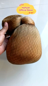 Sanggul Bali untuk Upacara Adat atau Karnaval Warna Hitam dan Pirang