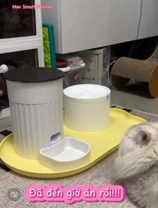 HOẢ TỐC M03 - Máy nhả hạt tự động cho mèo Papifeed M01 điều kiển từ xa qua APP dung tích 3 Lít
