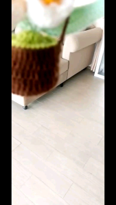 ดอกไม้ไหมพรม ดอกลิลลี่แห่งหุบเขา