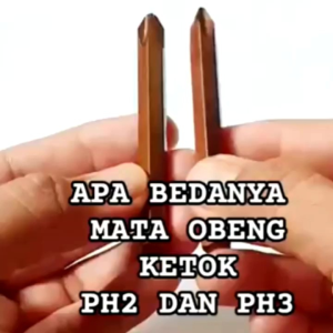 Mata Obeng Camel PH2 & 65 Mata Skrup Gypsum