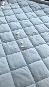 Sikat Karpet Ajaib 3in1 Serbaguna Gagang Sikat Karpet Sofa Alat Pembersih Kotoran
