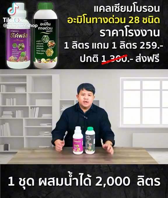 อีโค่พลัส+อามีน่าอะมิโนทางด่วน 28ชนิด ชุดขยายผลทุเรียน พืชโตไว ต้นแข็งแรง ใบเขียว ขั้วเหนียว ลดการหลุดร่วงดอกและผล  ป้องกันผลแตก 1 ลิตร