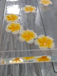 ถาดอะคริลิค"ใส" หนา3มิล "ใส่น้ำได้