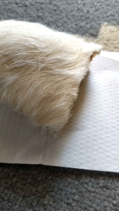 Koleksi kantong maung putih stok terbatas