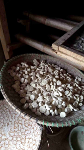 Ragi khas Bogor kualitas terbaik warisan dari nenek moyang