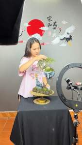 Bộ Lý Bạch Ngắm Cổ Thụ thiết kế độc đáo giúp trang trí không gian xanh trong nhà Decor Decor Phòng Trang Trí Nhà Tượng