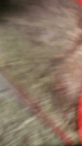 SONY KLV-32BX350 power supply # 1-885-885-21