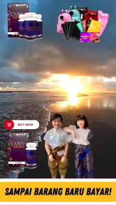 EXAMA SUPLEMENT CERDAS MINDAS + GIFTS MENARIK VITAMIN MINDA ORIGINAL 100% HQ