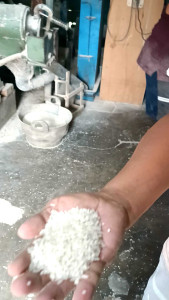 (Dapat 10Kg) Beras Rojolele Super