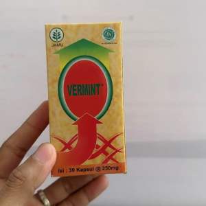 Vermint | Vermin | Obat Penyakit Tifus / Tipes / Typus 30 Kapsul