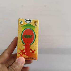 Best Seller.. Vermint Isi 12 Kapsul // Vermin 12 Kapsul - Kapsul Ekstrak Cacing