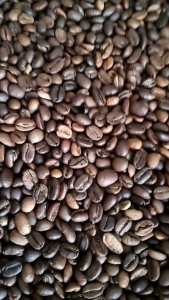 KOPI BIJI MATANG/KOPI BIJI RAOSTING/KOPI BIJI SANGRAI/KOPI OLAHAN NATURAL