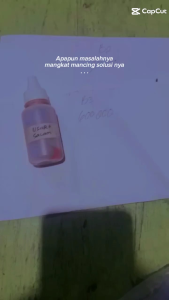 Essen Ikan Mas Super Gacor Target Indukan