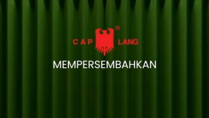 minyak kayu putih caplang roll on 15ml