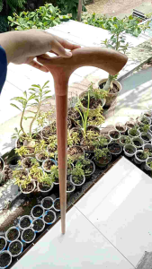 Tongkat Jalan Kayu Nogosari Nagasari Model Cula Spesial S51