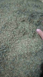 Bibit wortel berastagi lokal/benih wortel hasil budidaya petani 100% berkualitas berat 1 kg