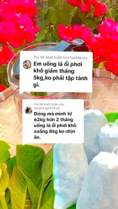 90 túi lọc trà ngọn ổi giảm cân ổn định đường huyết