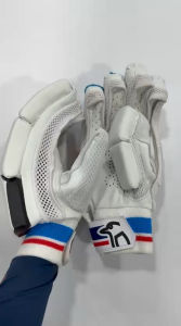 Kookaburra Beast Pro 4.0 Cricket Batting Gloves – Men RH