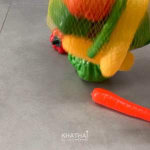 ชุดผักของเล่น ชุดผลไม้ของเล่น ขนาดใหญ่ เสริมพัฒนาบางแผล บทบาทสมมติ แบบละ 20 ชิ้น RP-623-633