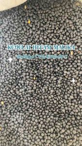 KACANG KEDELAI HITAM 1Kg/1000g | DELE IRENG | KEDELAI MALIKA | BLACK SOY BEAN | DIJAMIN TERMURAH