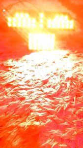 Stoplamp Running F1ZR/Vega Lama 8mode running Otomatis / Lampu Rem F1ZR & VEGA LAMA