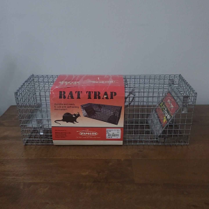 Mouse Trap Rat Trap Mapecon