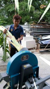เครื่องสับต้นกล้วย วัชพืช ย่อยต้น เครื่องสับหญ้า เครื่องสับอเนกประสงค์ เช่น ซื้อขายในระยะยาว ในช่วงประมาณ 10 วัน