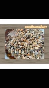 750 กรัม หอยเสียบดองน้ำปลา สด ใหม่ สะอาด ปลอดภัย รวมบรรจุภัณฑ์