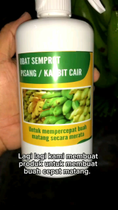 Spray Pematang Buah 500ml: Karbit Cair Spray Praktis