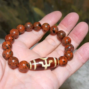 10mm Brecciated Jasper and Savior Dzi (贵人天珠) bracelet [Natural Crystal]