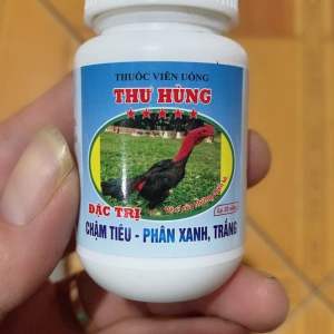 CHẬM TIÊU-PHÂN XANH-TRẮNG THU HÙNG GÀ CHỌI