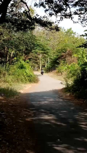 Pilihan Knalpot Shijiro YOSHIKAWA Suara Ngebass Adem untuk Vario 125 & 150